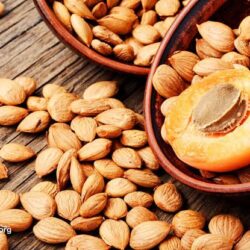 Apricot Seeds