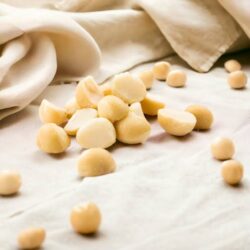 Macadamia