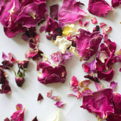 Edible Roses